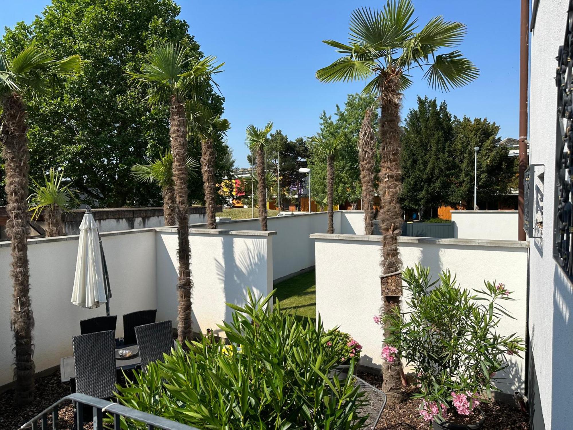 Appartment Moltke Хербольцхайм Экстерьер фото